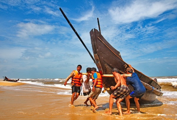 Vietnam cephalopod exports to Italy recorded good growth