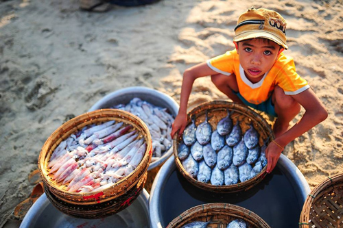 Prime Minister Nguyen Xuan Phuc has given the greenlight to a programme on preventing and minimising child labour during the 2016-2020 period.