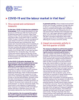COVID-19 and the labour market in Viet Nam